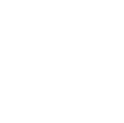 Ronas automotive design